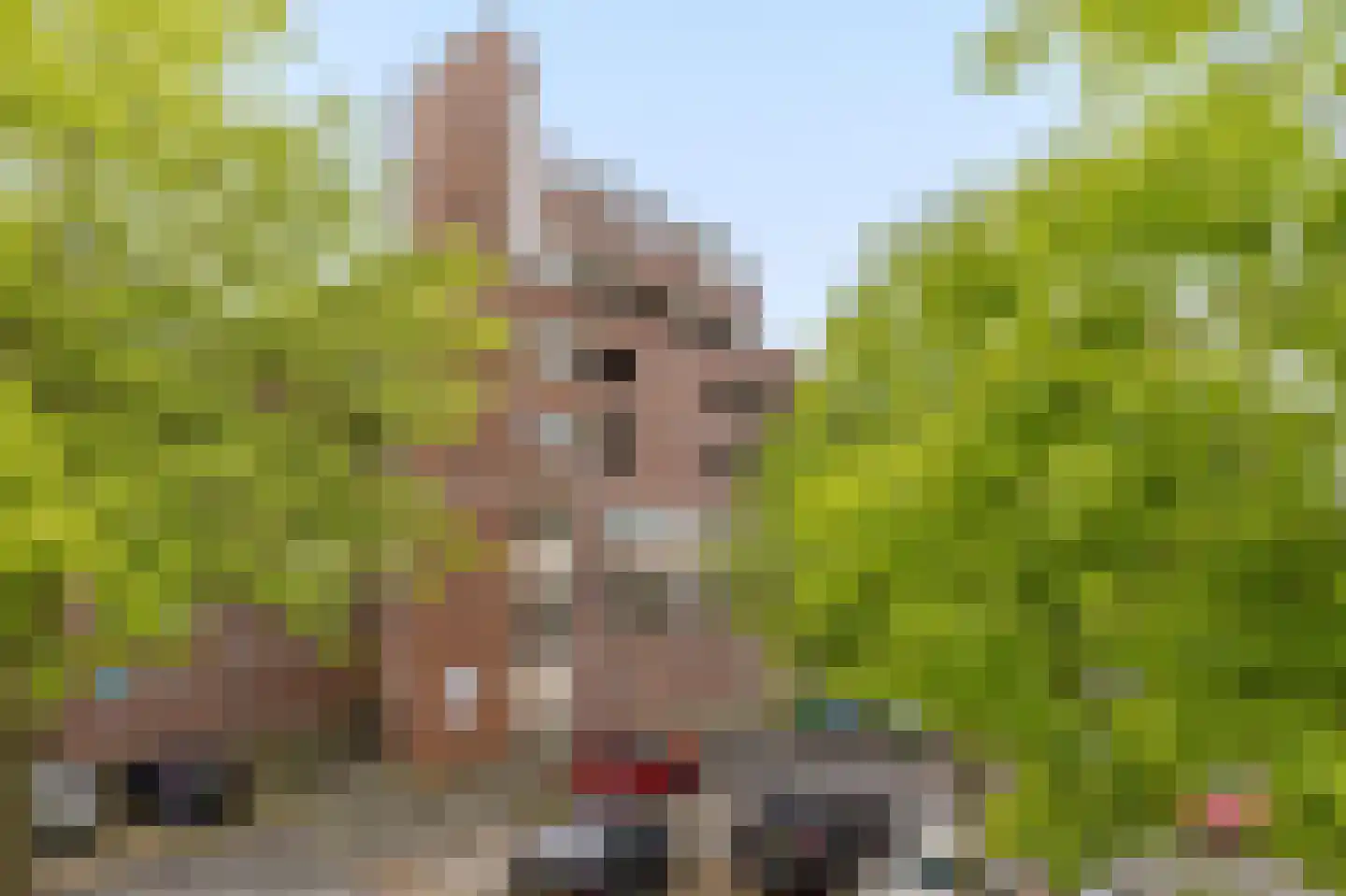 Bree 57 Veldhoven thumbnail 48