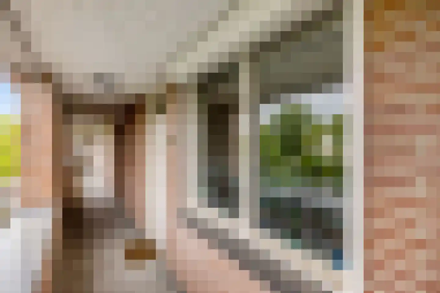 Bree 57 Veldhoven thumbnail 9