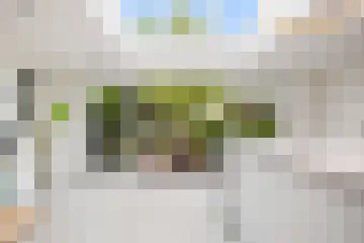 Breeakkers 14 's-Hertogenbosch thumbnail 11