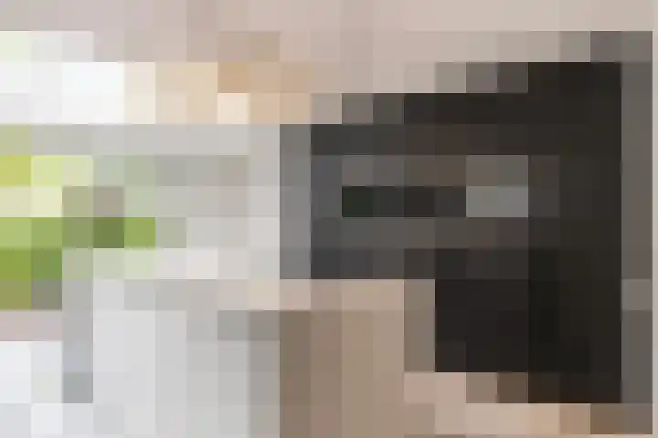 Breeakkers 14 's-Hertogenbosch thumbnail 13