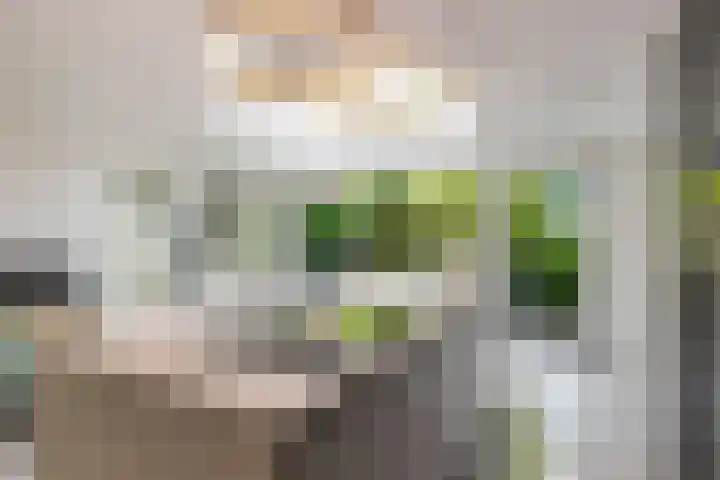Breeakkers 14 's-Hertogenbosch thumbnail 14