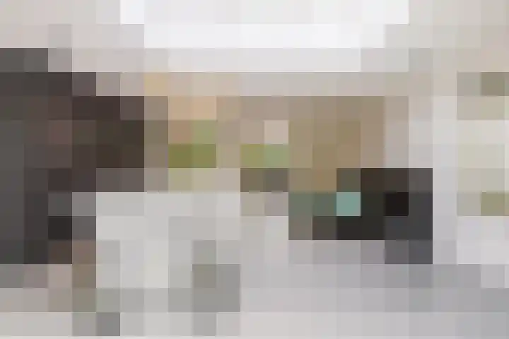 Breeakkers 14 's-Hertogenbosch thumbnail 15