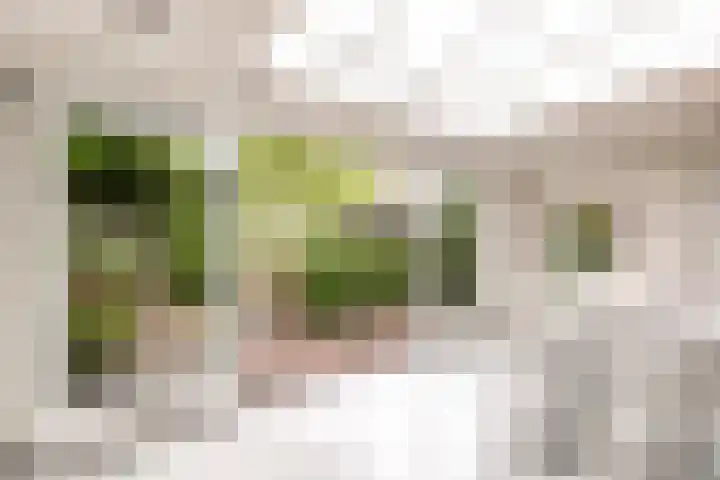 Breeakkers 14 's-Hertogenbosch thumbnail 16
