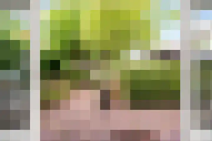 Breeakkers 14 's-Hertogenbosch thumbnail 17