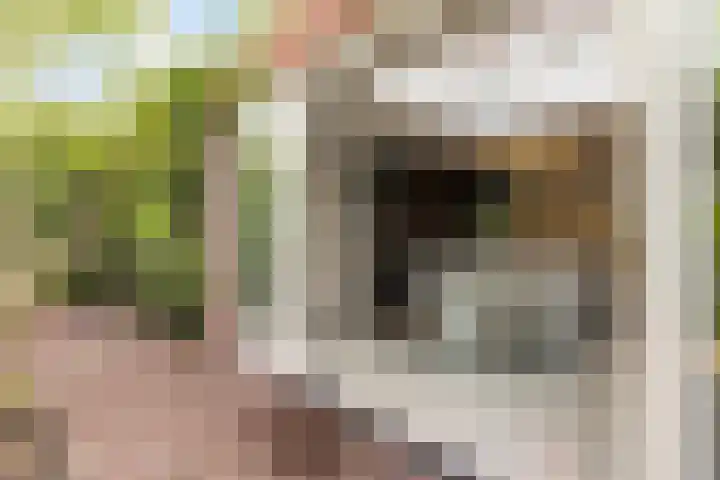 Breeakkers 14 's-Hertogenbosch thumbnail 18