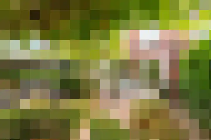 Breeakkers 14 's-Hertogenbosch thumbnail 19