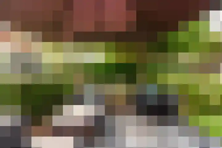 Breeakkers 14 's-Hertogenbosch thumbnail 20