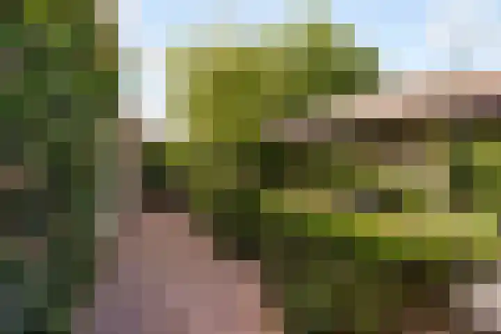 Breeakkers 14 's-Hertogenbosch thumbnail 21