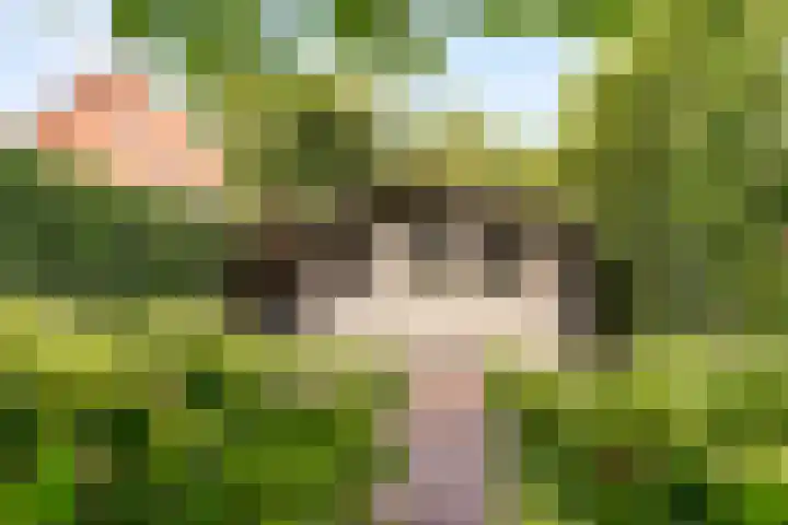 Breeakkers 14 's-Hertogenbosch thumbnail 22
