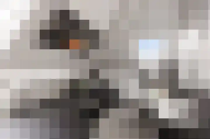 Breeakkers 14 's-Hertogenbosch thumbnail 33