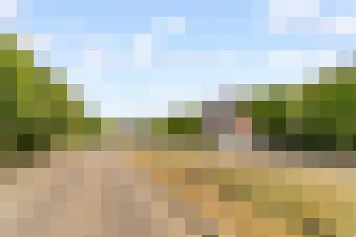 Breeakkers 14 's-Hertogenbosch thumbnail 35