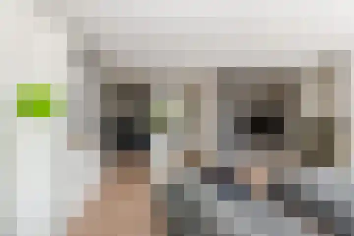 Breeakkers 14 's-Hertogenbosch thumbnail 8