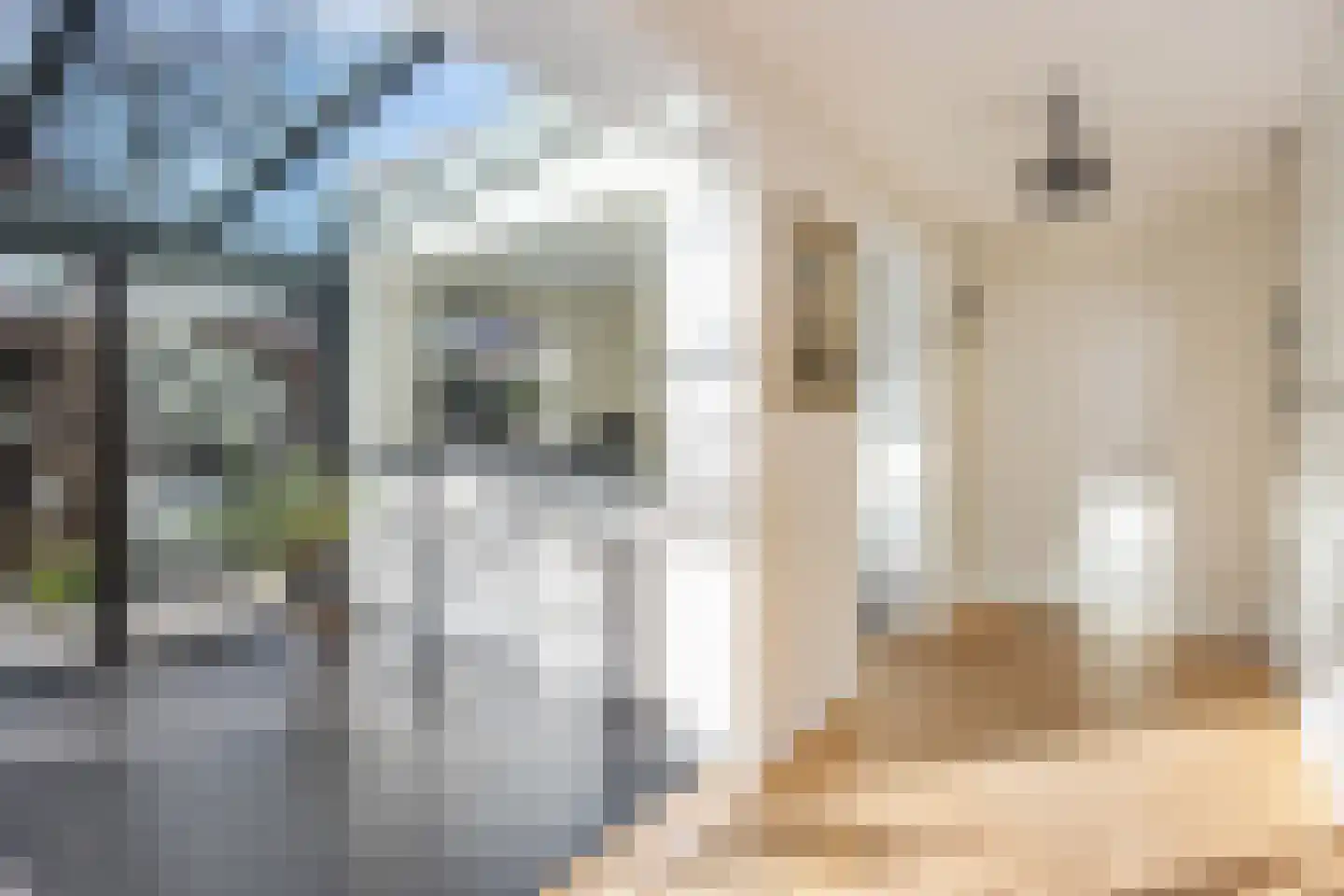 Breeakkers 2 's-Hertogenbosch thumbnail 10
