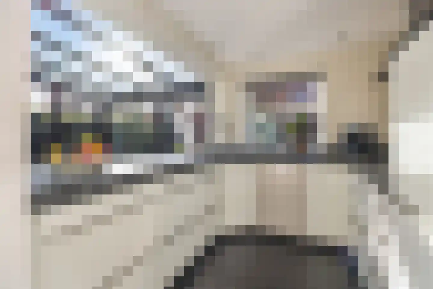 Breeakkers 2 's-Hertogenbosch thumbnail 13