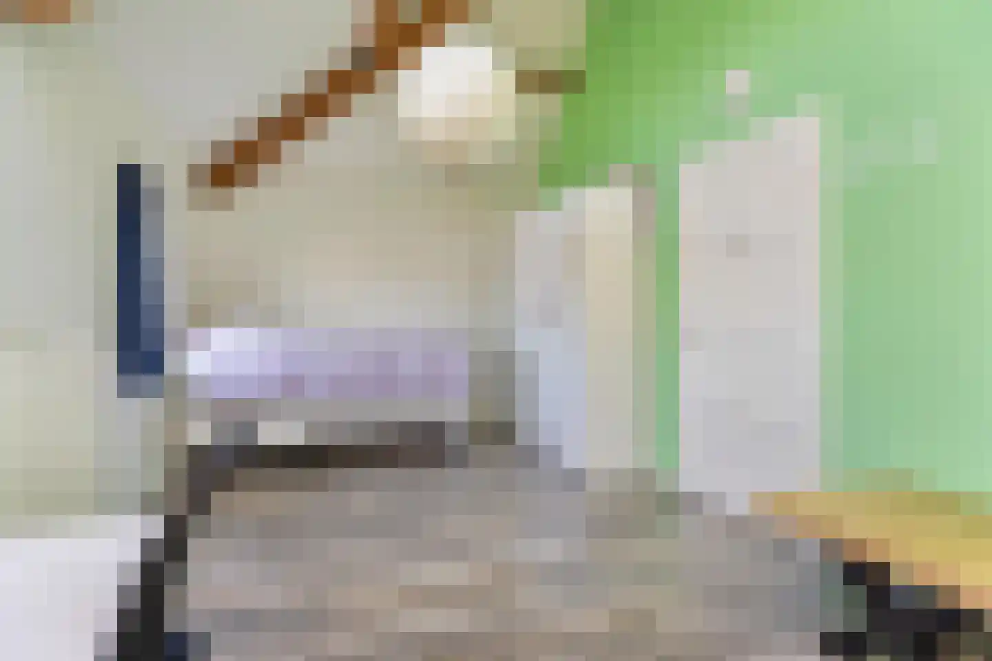 Breeakkers 2 's-Hertogenbosch thumbnail 25