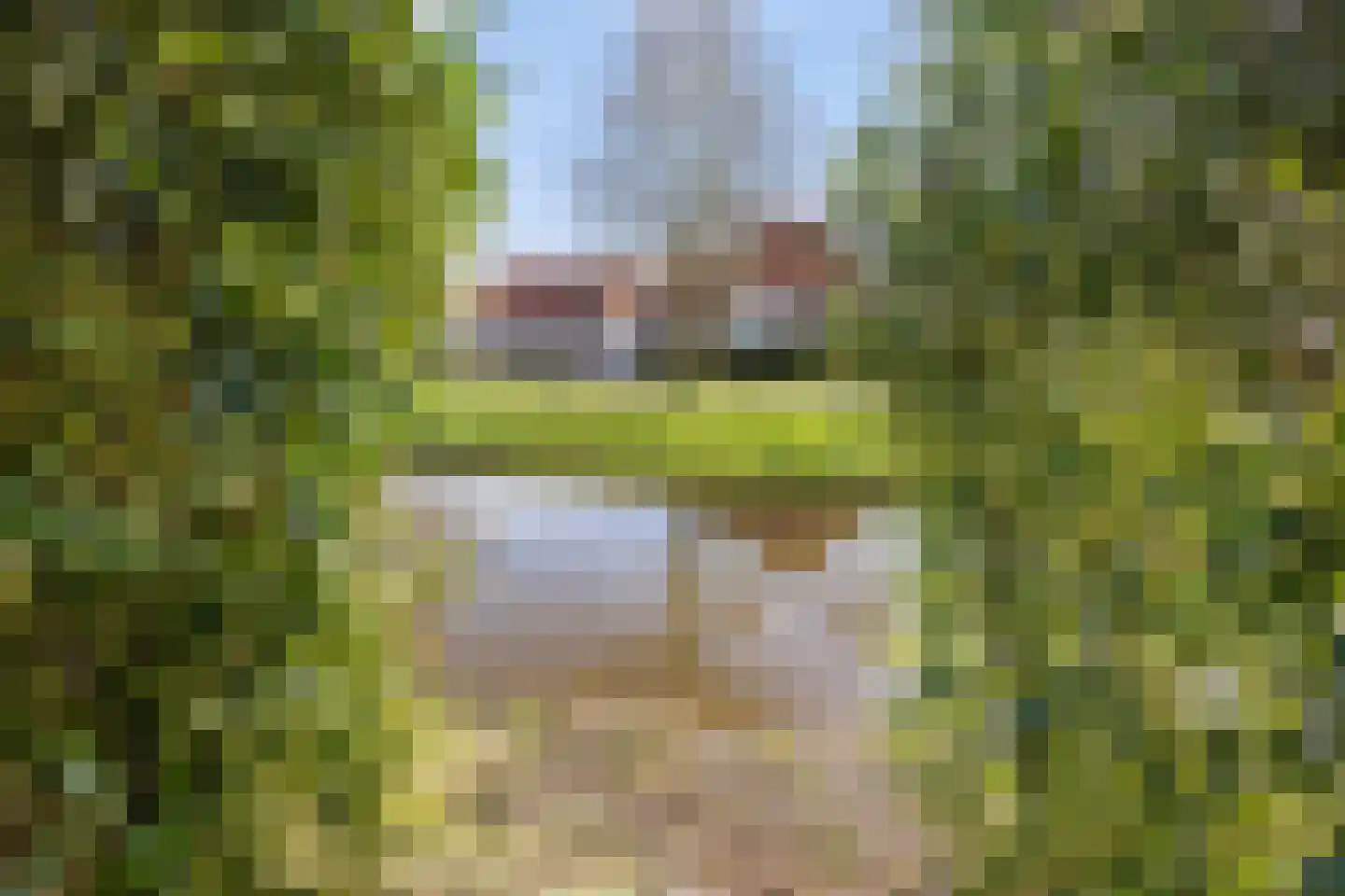 Breeakkers 2 's-Hertogenbosch thumbnail 31