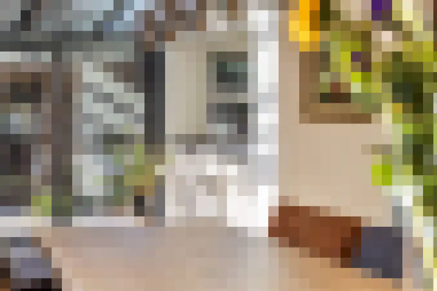 Breeakkers 2 's-Hertogenbosch thumbnail 9