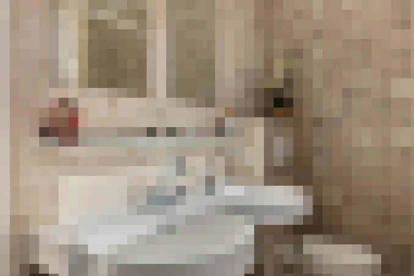Breeakkers 27 's-Hertogenbosch thumbnail 28
