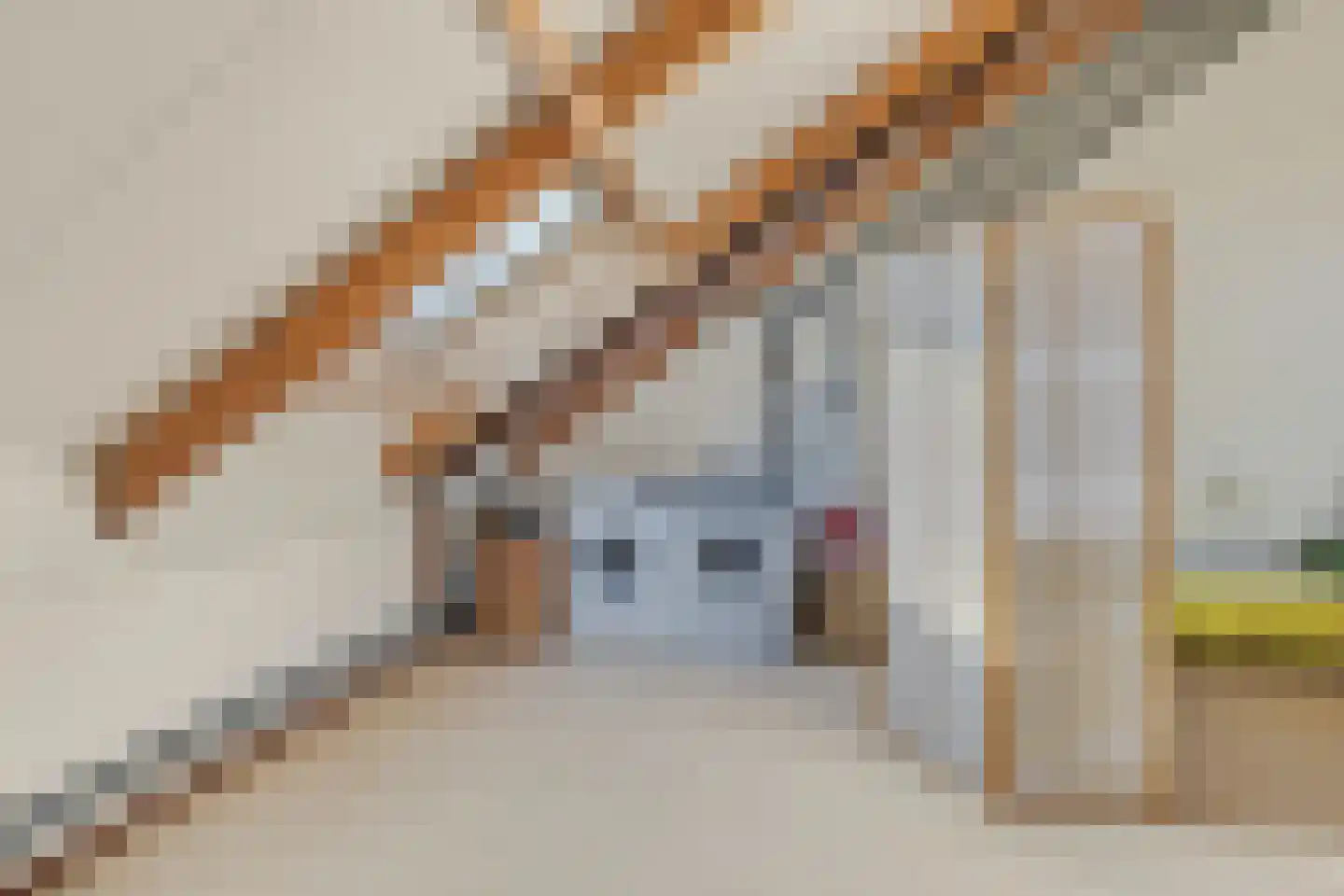 Breeakkers 27 's-Hertogenbosch thumbnail 33