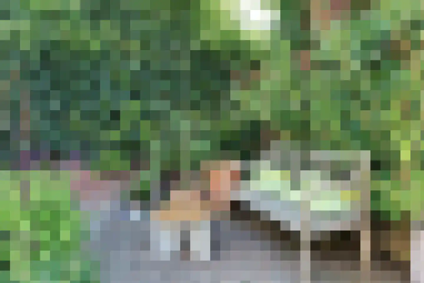 Breeakkers 27 's-Hertogenbosch thumbnail 36