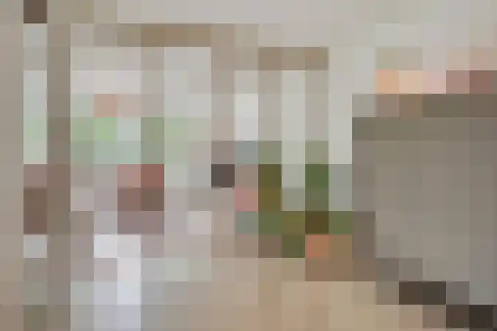 Breeakkers 3 's-Hertogenbosch thumbnail 12