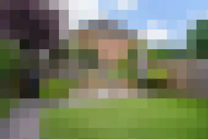 Breeakkers 3 's-Hertogenbosch thumbnail 26