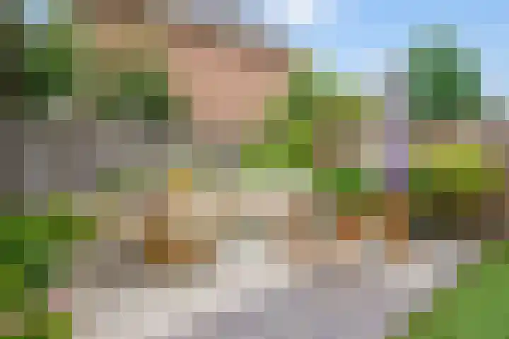 Breeakkers 3 's-Hertogenbosch thumbnail 27