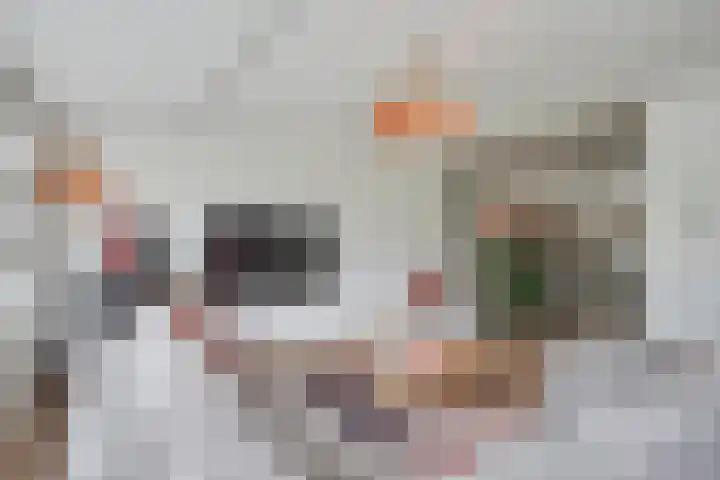 Breeakkers 3 's-Hertogenbosch thumbnail 8