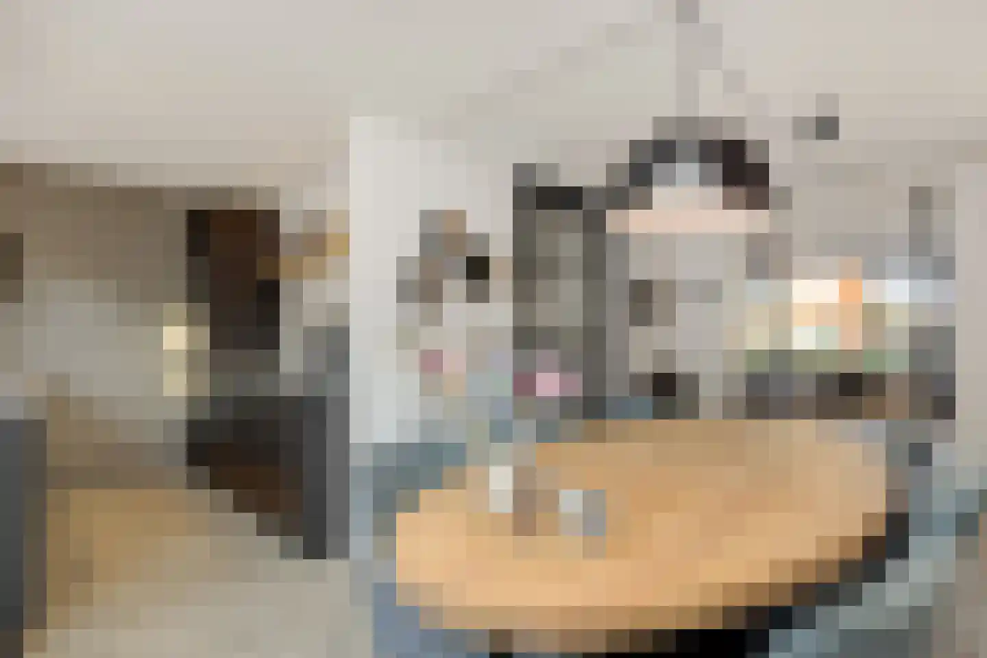 Breeakkers 47 's-Hertogenbosch thumbnail 11