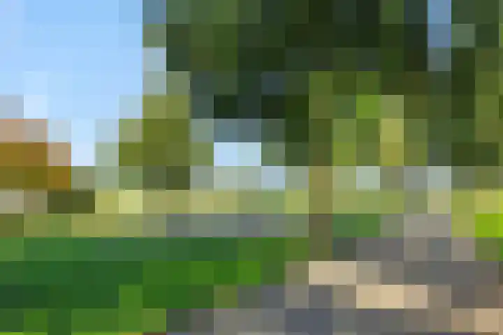 Breeakkers 47 's-Hertogenbosch thumbnail 32