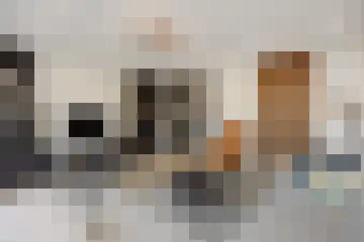 Breeakkers 47 's-Hertogenbosch thumbnail 8