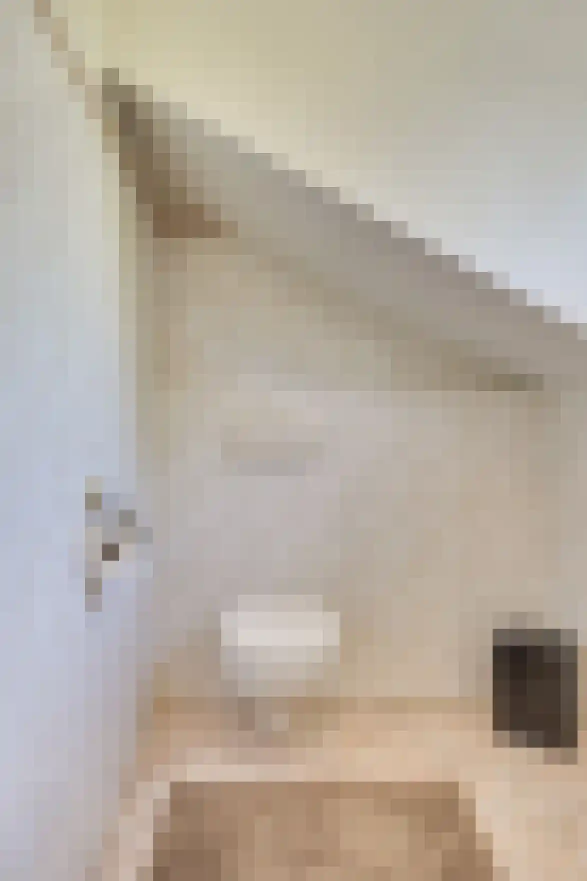 Breeakkerstraat 3 Son en Breugel thumbnail 33