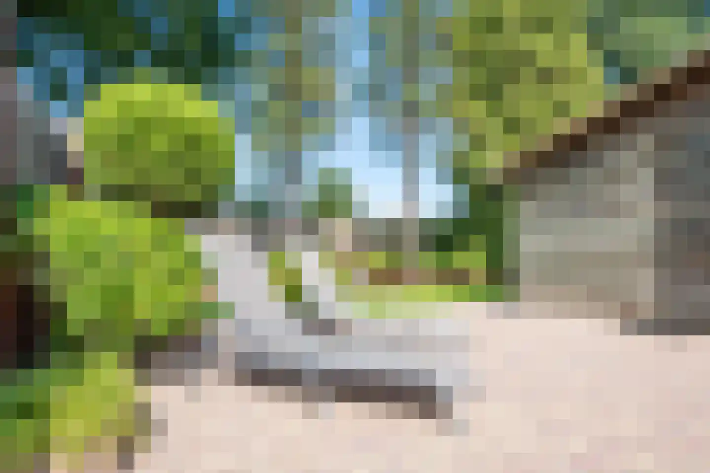 Breeakkerstraat 3 Son en Breugel thumbnail 39