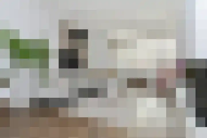 Breeakkerstraat 43 Son en Breugel thumbnail 10