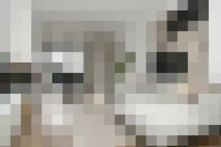 Breeakkerstraat 43 Son en Breugel thumbnail 11