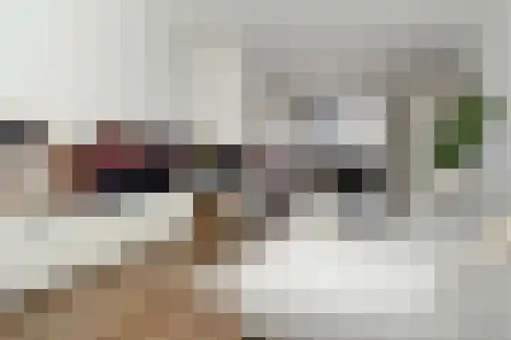 Breeakkerstraat 43 Son en Breugel thumbnail 12
