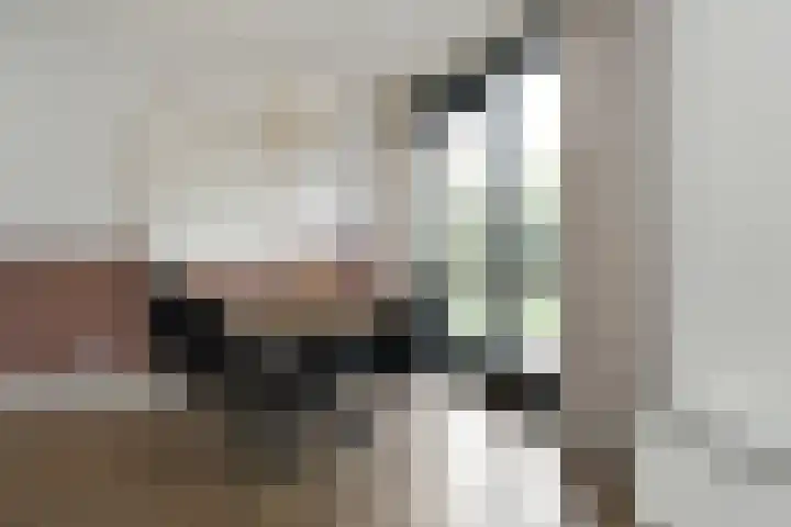 Breeakkerstraat 43 Son en Breugel thumbnail 13