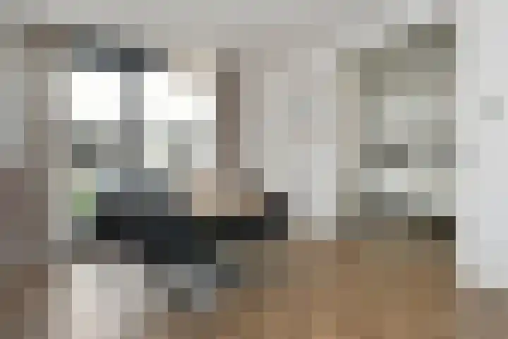 Breeakkerstraat 43 Son en Breugel thumbnail 14