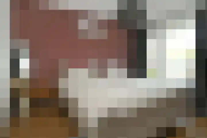 Breeakkerstraat 43 Son en Breugel thumbnail 18
