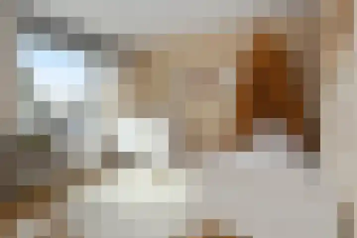 Breeakkerstraat 43 Son en Breugel thumbnail 19