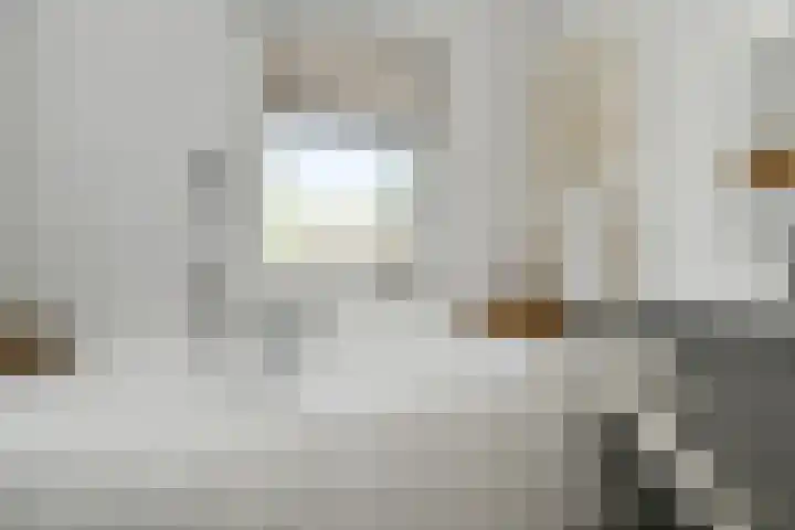 Breeakkerstraat 43 Son en Breugel thumbnail 20