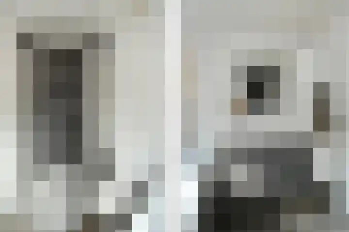 Breeakkerstraat 43 Son en Breugel thumbnail 21
