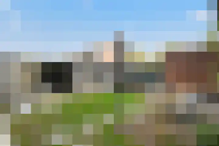 Breeakkerstraat 43 Son en Breugel thumbnail 26