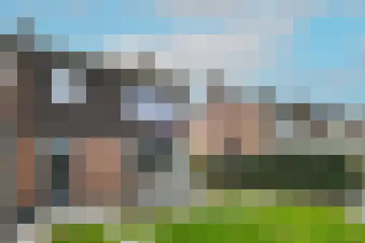 Breeakkerstraat 43 Son en Breugel thumbnail 28