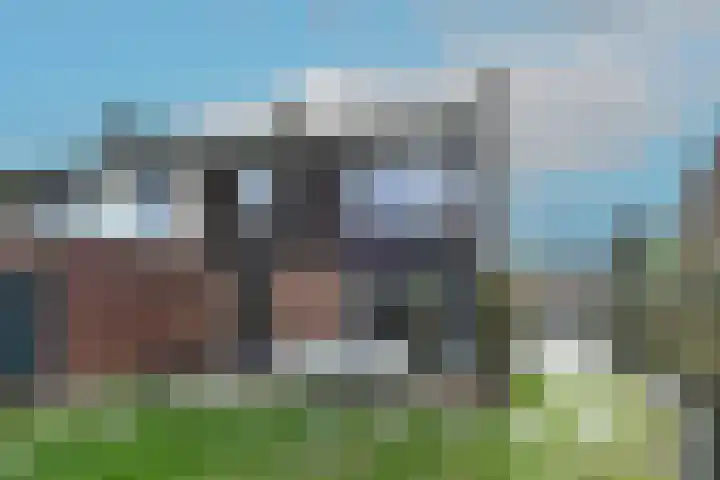 Breeakkerstraat 43 Son en Breugel thumbnail 29
