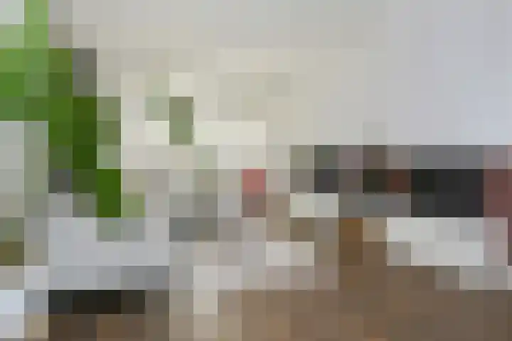 Breeakkerstraat 43 Son en Breugel thumbnail 8
