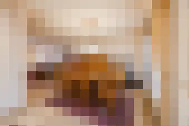 Breebroek 20 Rijen thumbnail 15