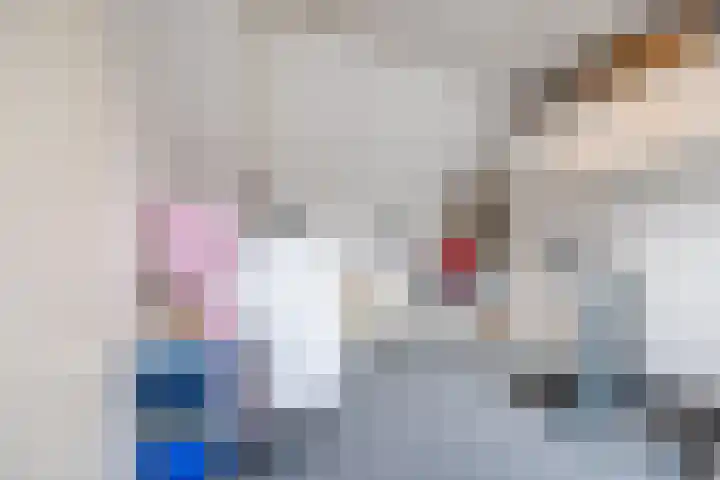 Breebroek 20 Rijen thumbnail 41