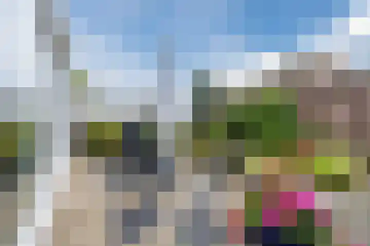 Breebroek 20 Rijen thumbnail 42