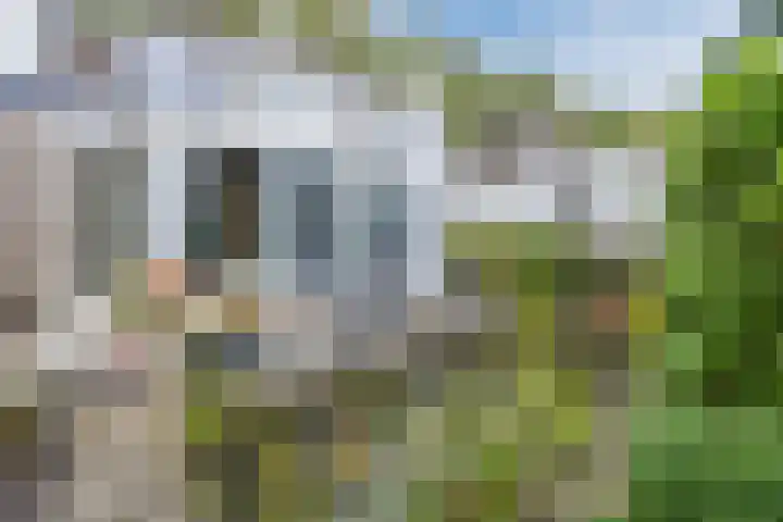 Breebroek 20 Rijen thumbnail 44